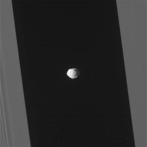 antikythera-astronomy:Pan, Saturn’s “Ravioli” Moon(Image credit: NASA/JPL-Caltech/Space Science Inst