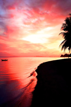 souhailbog:  Sunset on the beach   |  ©