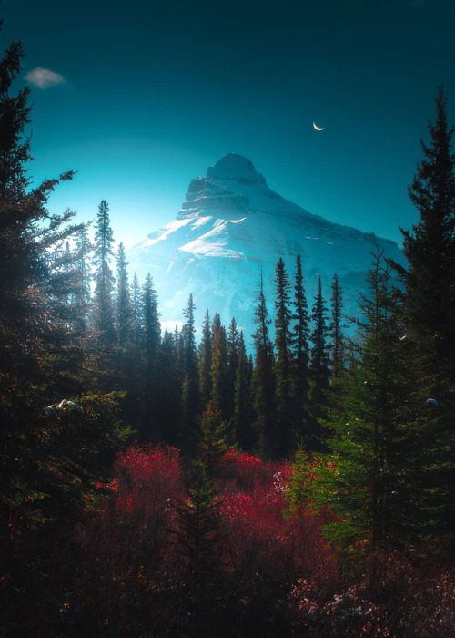 coiour-my-world:“Dreaming of the Rockies” | Banff N.P. || calibreus
