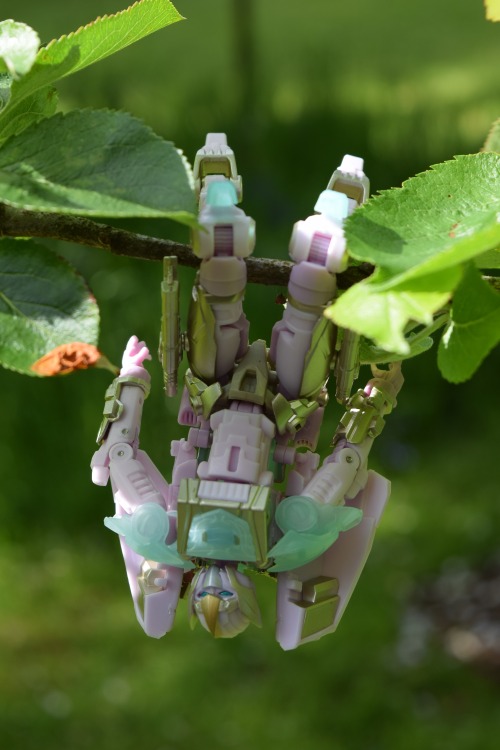 Mastermind Creations Reformatted: R10 Salvia Prominon the Saint (Solus Prime)The second of the two l