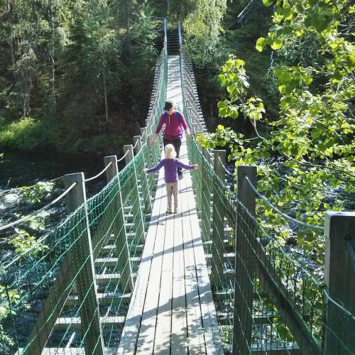 awesome suspension bridge at the oulanka national park #oulanka...