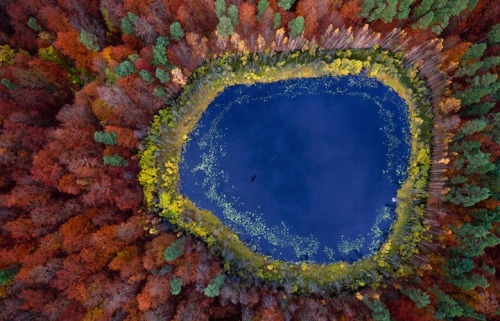 With a degree in architecture and a passion for aerial photography, Kacper Kowalski takes to the skies to capture previously unseen landscapes in extraordinary ways. His photos of Poland from high above have earned him numerous awards including Nikon&rsqu