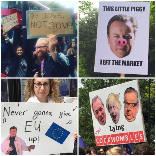 carrionlaughing:Some of my favourite signs from the ‘March For Europe’ Brexit protest in London, Jul