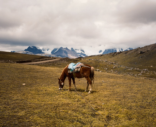 Peru, 2016.