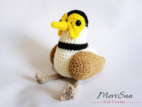 My newest pattern was also a custom request from a client. Do you know what it is? A masked lapwing 