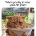 memewhore: