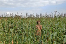 hollywoodisevil:  Smoking in the Corn-Angel