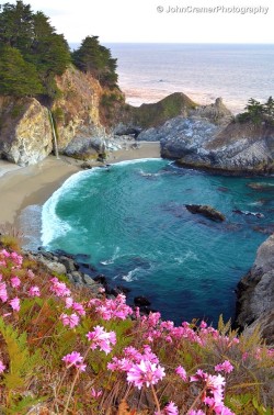 wowtastic-nature:  Wildflowers at McWay Falls