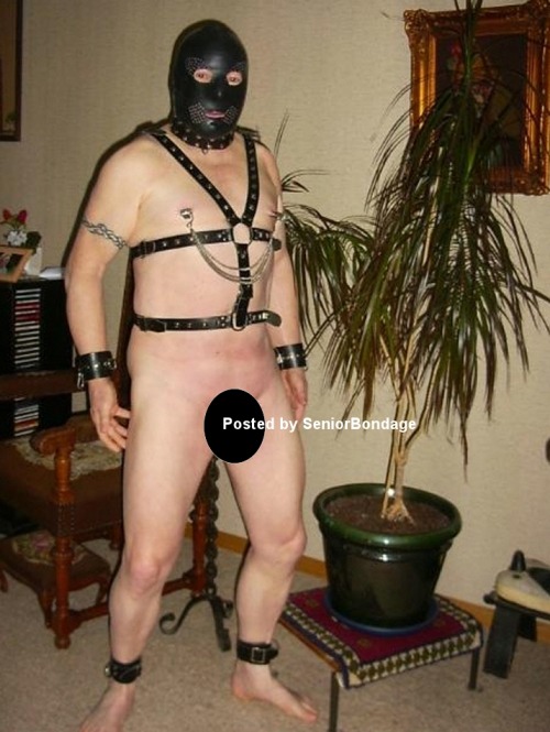 seniorkink:Leather Harness Collection Couple of hot Pipe Daddies in here.