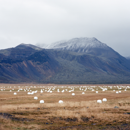 thephotoregistry:IcelandSinziana Velicescu						