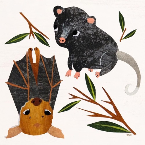 Friends I see in my backyard #fruitbat #possum #cute #australia #babyanimals #papercut #illustration