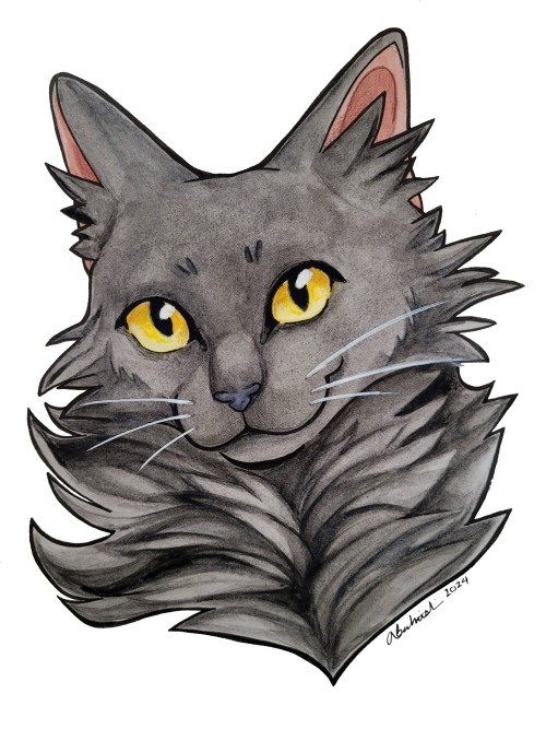 Cat Commission.