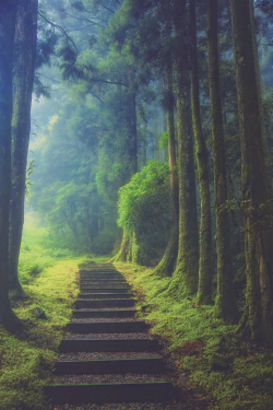 earthlycreations:  Keep On Hiking | (Hanson