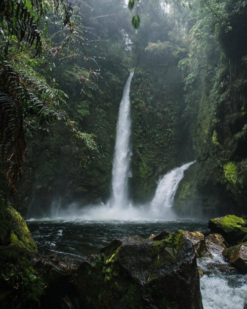 turnnoffyourmind: Cascadas Escondidas, National Park Pumalín Douglas Tompkins, Chile.