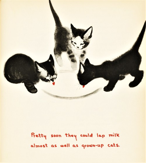 uwmspeccoll:  Milestone MondayOn this day April 10 in 1903, noted American author and illustrator of cats  Clare Turlay Newberry (1903-1970) was born in Enterprise, Oregon. She spent the majority of her career illustrating cats, especially for many of