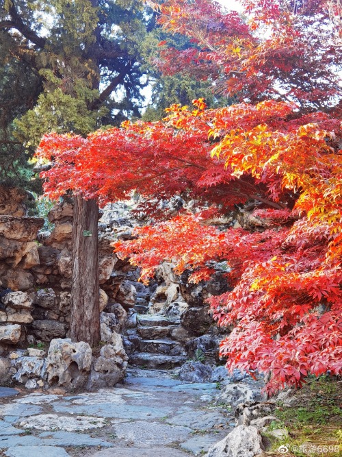 fuckyeahchinesegarden:静心斋jingxinzhai, beihai park, beijing by 旅游6698