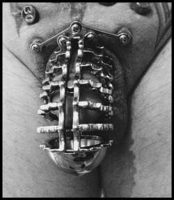 steelwerks:The BioBeast Transdermal Implant Chastity Cage.