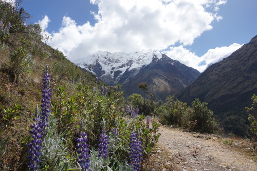 Day 1 of the Salkantay trekHiking up to Soraypampa from Challacancha with views south (#1) and north