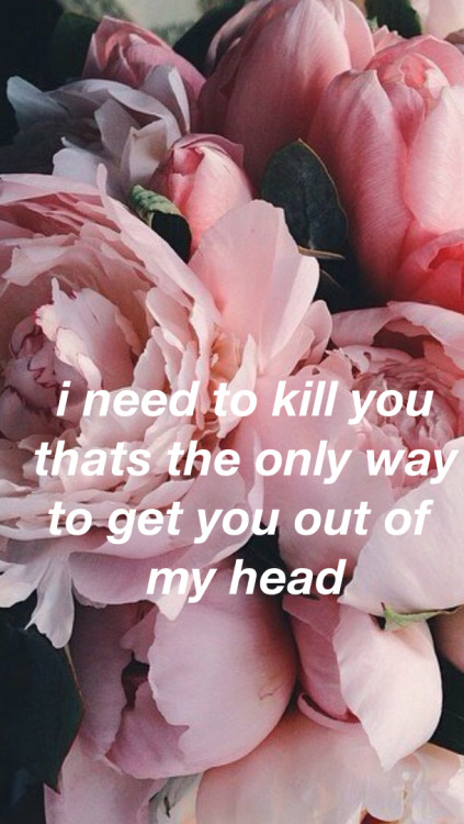 pink + melanie martinez lyrics