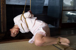 The Art Of Kinbaku