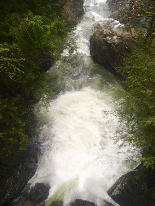 burningmine: Twin Falls State Park, April 2018 It was so rainy that I couldn’t take my camera 