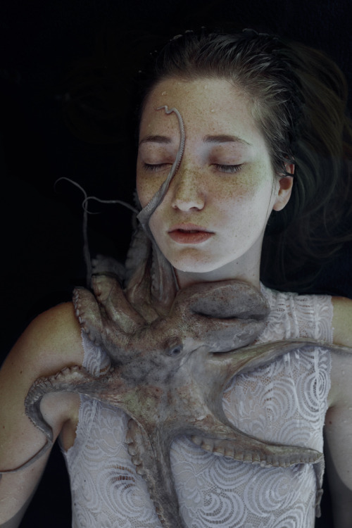 martabevacquaphotos:marta bevacqua photography