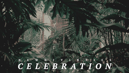 CELEBRATION Just Because, To Show My Appreciation For Yall