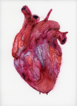 augustation:  Series: ‘The nature of heart‘ by Akira Beard