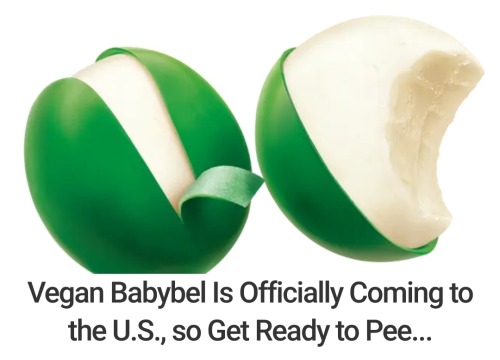 deathbars:BABYBEL CHEESE, HOME OF CHALLENGE adult photos