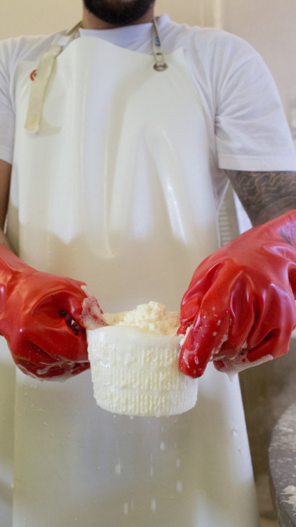 A Parmigiano Steam BathLocation: Castelnovo Sotto, ItalyWhile count ourselves amongst the world’s mo