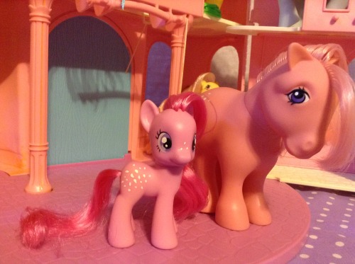 stargleamer:I made a G4 -> G1 Cotton Candy for my CC pony army -u-  Considering giving he new h