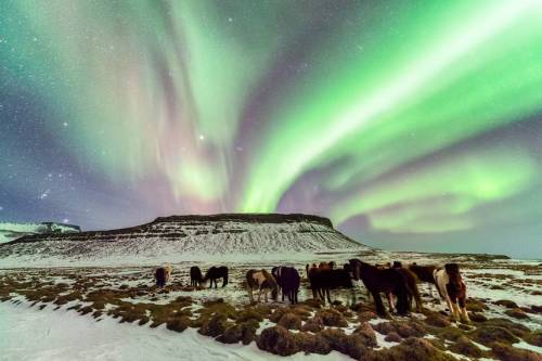 mothernaturenetwork: Earth Day photos: Celebrating the beauty of our planetFrom the rolling hills of