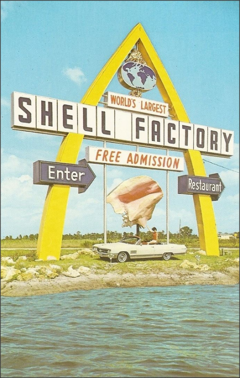 Shell Factory IncorporatedFort Myers, Florida 1960s