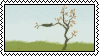 Assorted Web Stamps