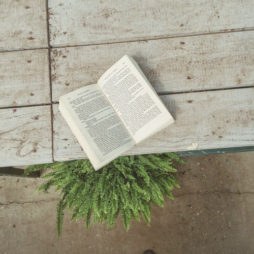 kaltainrompeir: 5. 22. 15