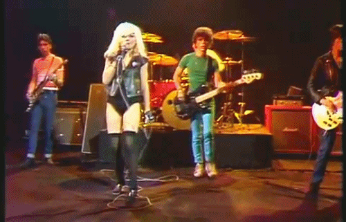 blondie-poedie:  Blondie 