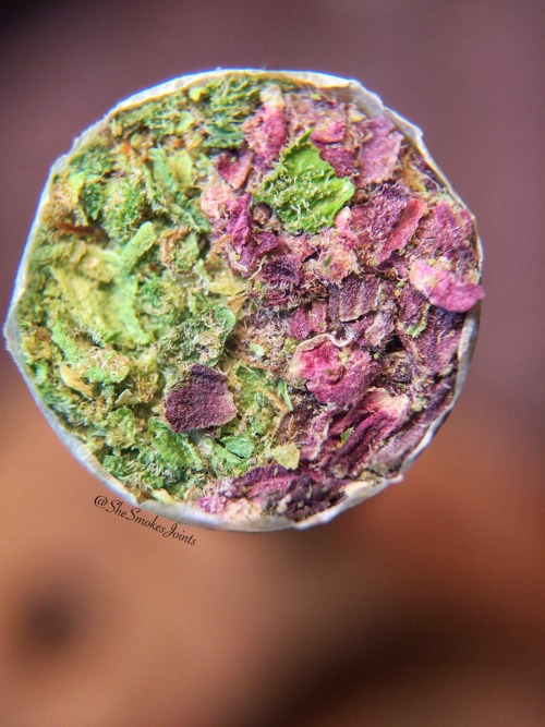 shesmokesjoints:  Balance ☯ Same joint, different lighting 