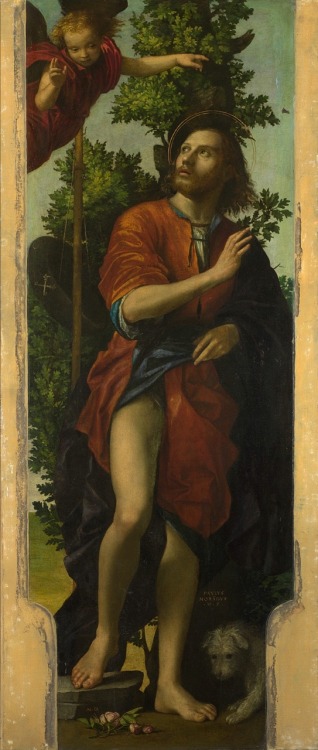 Saint Roch.1518. Oil on Canvas. 156.8 x 55.2 cm (61.7 x 21.7 in.) The National Gallery, London, U.K.