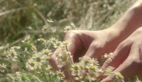madame-amour:Daisy Trio by Marc Jacobs commercial