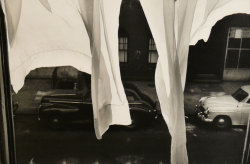 poboh:  New York City, 1955,  Elliott Erwitt.