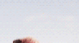 odairannies:    life’s not fair, is it my little friend? while some are born to feast,              