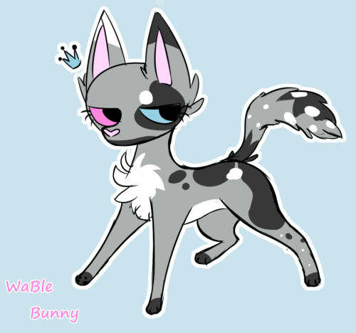 wable-bunny