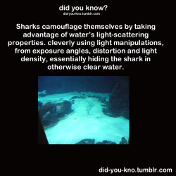 did-you-kno:  Source
