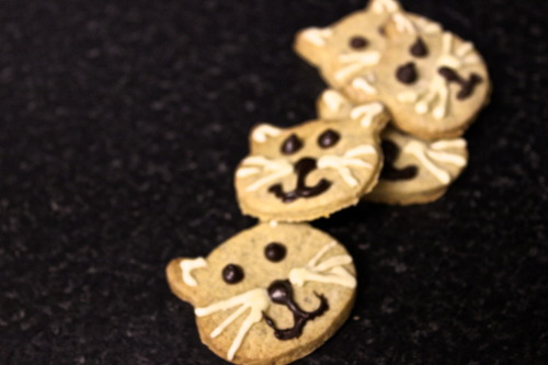 Cardamom Cats 150g | Plain Flour 1tsp | Cardamom, ground 1tsp | Cinnamon, ground 60g | Caster Sugar 