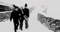 arthurdarvvill:  THE MAGIC BEGINS ϟ  Favourite Relationship | The Golden Trio