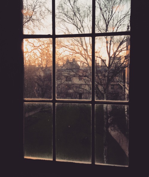 joyceansreadjoyce: View of Exeter College Oxford’s Fellows’ Garden. 30/01/2016