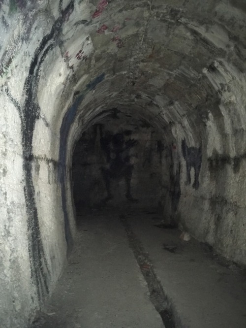 cty1xx:Abandoned underground tunnels that were used by Ustaše (Croatian Nazi organisation) during the WWII. They pass under the Croatian mountain and apparently lead to big underground rooms but the entrances were since blocked by concrete walls, all