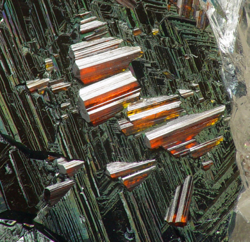 Rutile on Hematite with Quartz - Cavradi, Grischun, Switzerland