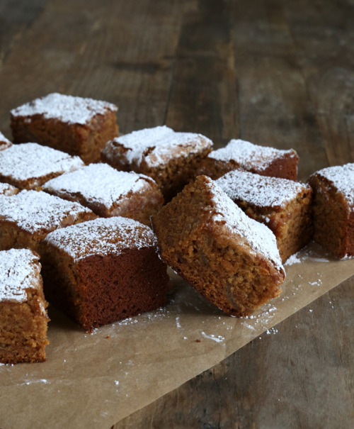 simply-divine-creation: Apple Gingerbread Snack Cake {Gluten Free} » Gluten Free on a Sho