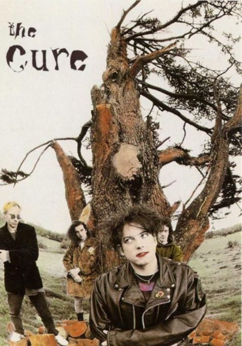 the cure is my favorite band of all timeeee >:))) im so sad Simon left though :((